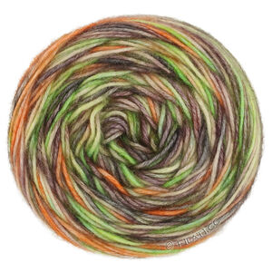 Lana Grossa  | 54-licht groen/taupe/zandbeige/oranje/antraciet