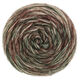 Lana Grossa ECOPUNO Hand-dyed | 55-mosgroen/beige/zwartbruin/munt/grijs bruin