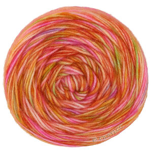 Lana Grossa  | 56-zalm/oranje/geel/groen/paars/felroze