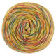Lana Grossa ECOPUNO Hand-dyed | 58-oranje/grijs groen/kanariegeel/vanille/karmijnrood