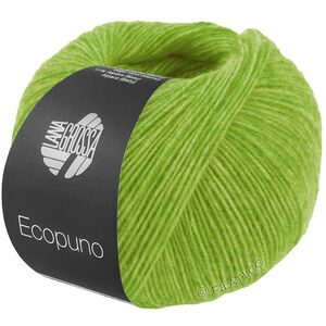 Lana Grossa ECOPUNO | 215-lente groen