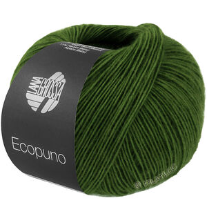 Lana Grossa ECOPUNO | 221-grasgroen
