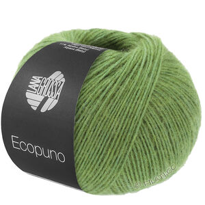 Lana Grossa ECOPUNO | 225-Perengroen