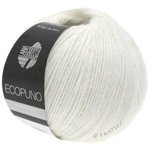 Lana Grossa ECOPUNO | 026-wit
