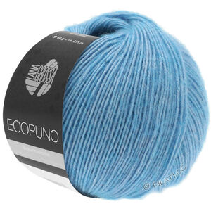 Lana Grossa ECOPUNO | 029-turkoois blauw