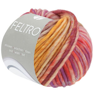 Lana Grossa FELTRO Camino | 843-oranje/rose/sering/violet/mosterdgeel/licht grijs/licht olijf