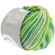 Lana Grossa FELTRO Tono | 1052-grijs groen/licht groen/donker groen