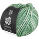 Lana Grossa GELATO Vintage | 108-oleander groen/wit