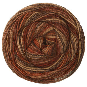 Lana Grossa GOMITOLO DISEGNO | 525-bourgondisch/beige/roest/taupe/donker bruin/grijs bruin/zwartbruin