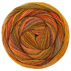 Lana Grossa GOMITOLO INTENSO | 244-oranje/noga/oker/grijs blauw/lichtbruin/donker bruin/roodbruin/koraal