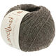 Lana Grossa LANDLUST Alpaka Merino 160 | 405-grijs bruin
