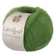 Lana Grossa LANDLUST KIDMOHAIR | 04-groen