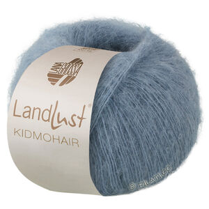Lana Grossa LANDLUST KIDMOHAIR | 08-grijs blauw