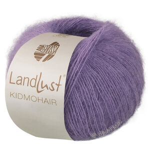 Lana Grossa LANDLUST KIDMOHAIR | 13-grijs paars