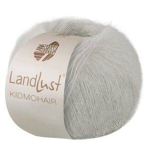 Lana Grossa LANDLUST KIDMOHAIR | 17-licht grijs