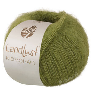 Lana Grossa LANDLUST KIDMOHAIR | 25-bos groen