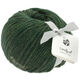 Lana Grossa LANDLUST MERINO 120 | 115-mosgroen