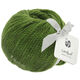 Lana Grossa LANDLUST MERINO 120 | 117-groen