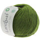 Lana Grossa LANDLUST MERINO 180 (GOTS & ICEA) | 217-groen
