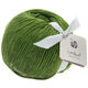 Lana Grossa LANDLUST MERINO 180 | 217-groen