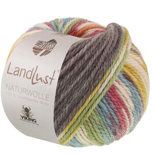 Lana Grossa LANDLUST Naturwolle Print | 105-rood Gekleurd gevlekt