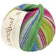 Lana Grossa LANDLUST DIE SOCKENWOLLE 150g 6-Ply | 923-