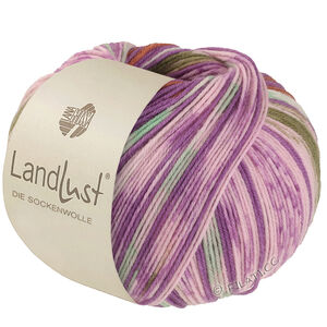 Lana Grossa LANDLUST DIE SOCKENWOLLE | 611-orchidee/bruin/meigroen/ecru/rosé/olijf gestreept