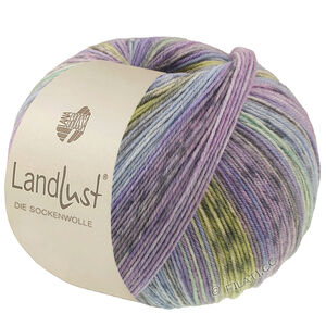 Lana Grossa LANDLUST DIE SOCKENWOLLE | 618-shiner blauw/jeans/licht blauw/licht grijs/donker grijs/jade/pistache/sering gestreept