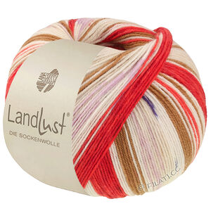 Lana Grossa LANDLUST DIE SOCKENWOLLE | 725-oriëntrood/aardbeirrood/ecru/bruin/rose/sering/licht beige/donker blauw gestreept