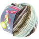Lana Grossa LEI Moulinè/Color Mix/Spray (stopgezet kleuren) | 162-ruwe witte/grijs bruin/antraciet