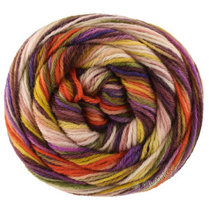 Lana Grossa MEILENWEIT 6-FACH 150g Cascata | 9747-kaneelbruin/violet/donker oranje/licht beige/limoen/pistache/olijf