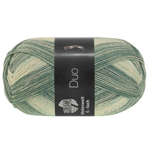 Lana Grossa MEILENWEIT 6-FACH 150g Duo | 9725-groengrijs/lichtgrijs