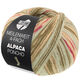 Lana Grossa MEILENWEIT 100g Alpaca Poncho | 2721-grijs groen/mosgroen/munt/ecru/rose/foksia