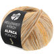 Lana Grossa MEILENWEIT 100g Alpaca Poncho | 2726-zandbeige/taupe/bruin/licht beige/karamel