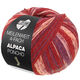 Lana Grossa MEILENWEIT 100g Alpaca Poncho | 2727-wijnrood/rood violet/pruim blauw/kiwi/rose