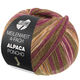 Lana Grossa MEILENWEIT 100g Alpaca Poncho | 2728-mosgroen/rood violet/ecru/oranje/bruin