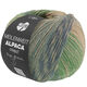 Lana Grossa MEILENWEIT 100g Alpaca Print | 2212-