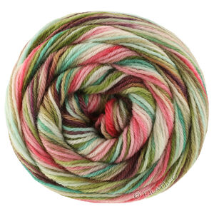 Lana Grossa MEILENWEIT 100g Cascata | 5205-mokka/donker bruin/grijs bruin/rose/zachtgroen/limegroen/grijs groen/jade/felroze/turkoois