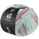 Lana Grossa MEILENWEIT 100g Cashmere Pista | 142-munt/turkoois/wit/grijs/licht blauw/foksia gestreept