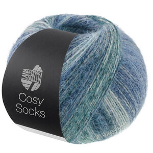 Lana Grossa MEILENWEIT 100g Cosy Socks Dream | 254-rook blauw/grijs blauw/licht blauw/staalblauw/licht grijs/grijs