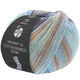 Lana Grossa MEILENWEIT 100g Cotton Bamboo Denim | 3315-licht grijs/ijsblauw/grijs/nootbruin/donker blauw/licht blauw