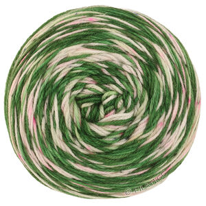 Lana Grossa MEILENWEIT 100g Merino Hand-dyed | 06-sparren groen/salie groen/ruwe witte/poeder roze