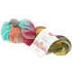Lana Grossa MEILENWEIT 100g Merino Hand-dyed | 407-turkoois/grijs/rood violet/terracotta /zachtgeel/modder
