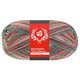 Lana Grossa MEILENWEIT 100g Merino Christmas | 6807-wit/donker groen/donker bruin/oranje/licht groen