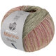 Lana Grossa MEILENWEIT 100g Merino Extrafine Shades | 7232-pastelgroen/grijs groen/licht beige/beige/felroze
