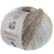 Lana Grossa MEILENWEIT 100g Merino Extrafine Shades | 7234-munt/licht grijs/donker grijs/grijs bruin