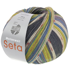 Lana Grossa MEILENWEIT 100g Seta Giappone | 3387-donker grijs/ecru/terracotta /limoen/muisgrijs/pistache/azuurblauw