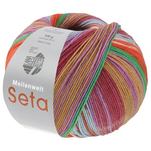Lana Grossa MEILENWEIT 100g Seta Hokkaido | 3584-licht blauw/bruin/ecru/roest/groen/violet/leembruin/bourgondisch
