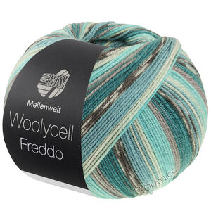 Lana Grossa MEILENWEIT 100g Woolycell Freddo | 6044-petrol groen/middelen grijs/turkoois/munt/zeegroen/donker grijs/licht grijs
