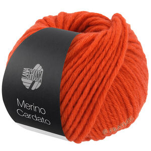 Lana Grossa MERINO CARDATO | 04-oranje